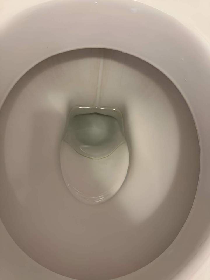 Nettoyage cuvette toilette Clermont-Ferrand